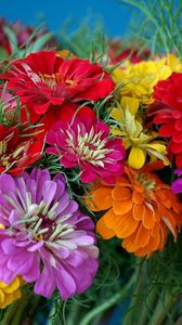 Preview wallpaper zinnias, flowers, bright, colorful, flower