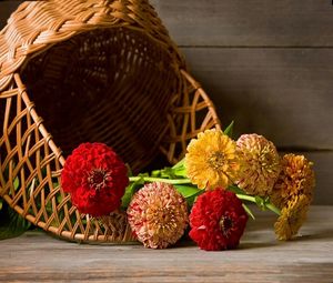 Preview wallpaper zinnias, flowers, lie, basket