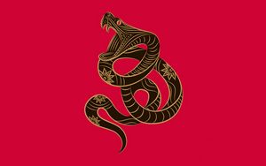 Preview wallpaper zodiac sign, snake, minimalism, vector