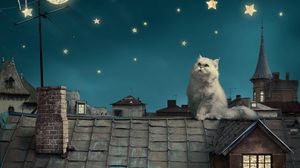 White Persian Cat 4k Uhd 16 9 Wallpapers Hd Desktop Backgrounds 3840x2160 Images And Pictures A collection of the top 47 persian cat wallpapers and backgrounds available for download for free. white persian cat 4k uhd 16 9