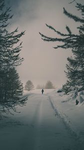 Featured image of post Hintergrundbild Iphone Winter : Ein schöner spaziergang in der natur und dann einen.